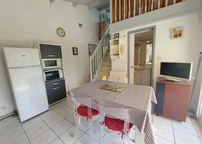 2 Pieces Mezzanine Acces Plage, Parking Prive ! - Fr-1-326-831 Apartment