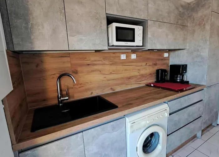2 Pieces Mezzanine Acces Plage, Parking Prive ! - Fr-1-326-831 Apartment Marseillan (Herault)
